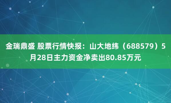 金瑞鼎盛 股票行情快报：山大地纬（688579）5月28日主力资金净卖出80.85万元