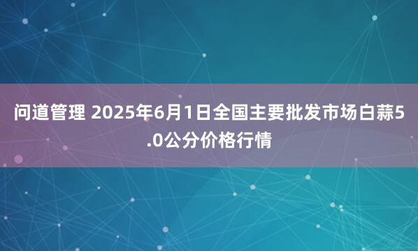 问道管理 2025年6月1日全国主要批发市场白蒜5.0公分价格行情