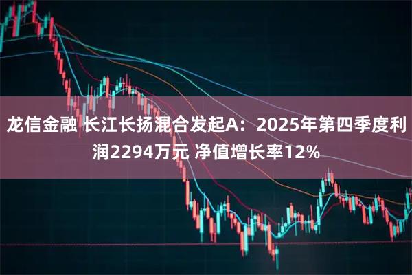 龙信金融 长江长扬混合发起A:2025年第四季度利润2294万元 净值增长率12%